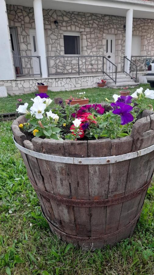 Kamena Kuca Family Rodin Apartment Capljina Luaran gambar
