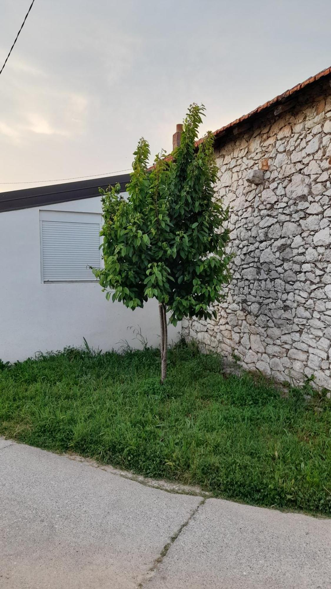 Kamena Kuca Family Rodin Apartment Capljina Luaran gambar