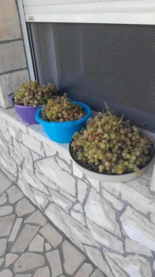Kamena Kuca Family Rodin Apartment Capljina Luaran gambar